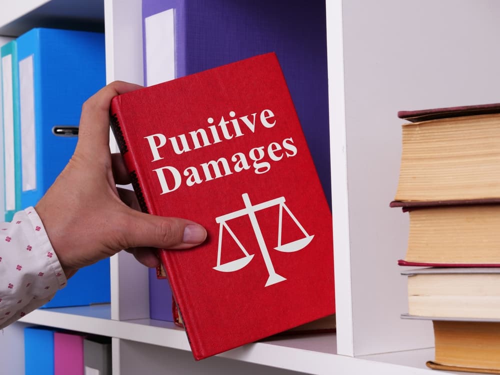 Punitive damages are shown through written text.